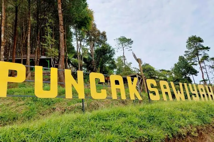 Puncak Sawiyah, Tempat Menikmati Keindahan Alam yang Kaya Pesona di Majalengka