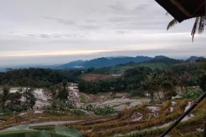 Terasering Sawah Nangklak, Panorama Sawah Terasering yang Menakjubkan di Garut