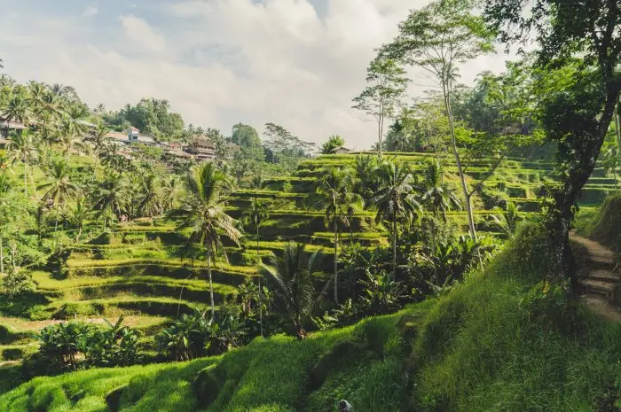 Alamat dan Rute Mudah Menuju Lokasi