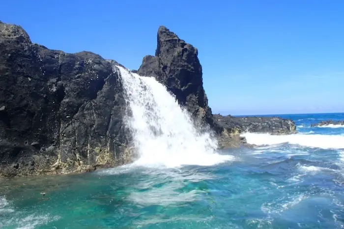 Daya Tarik Pantai Nambung